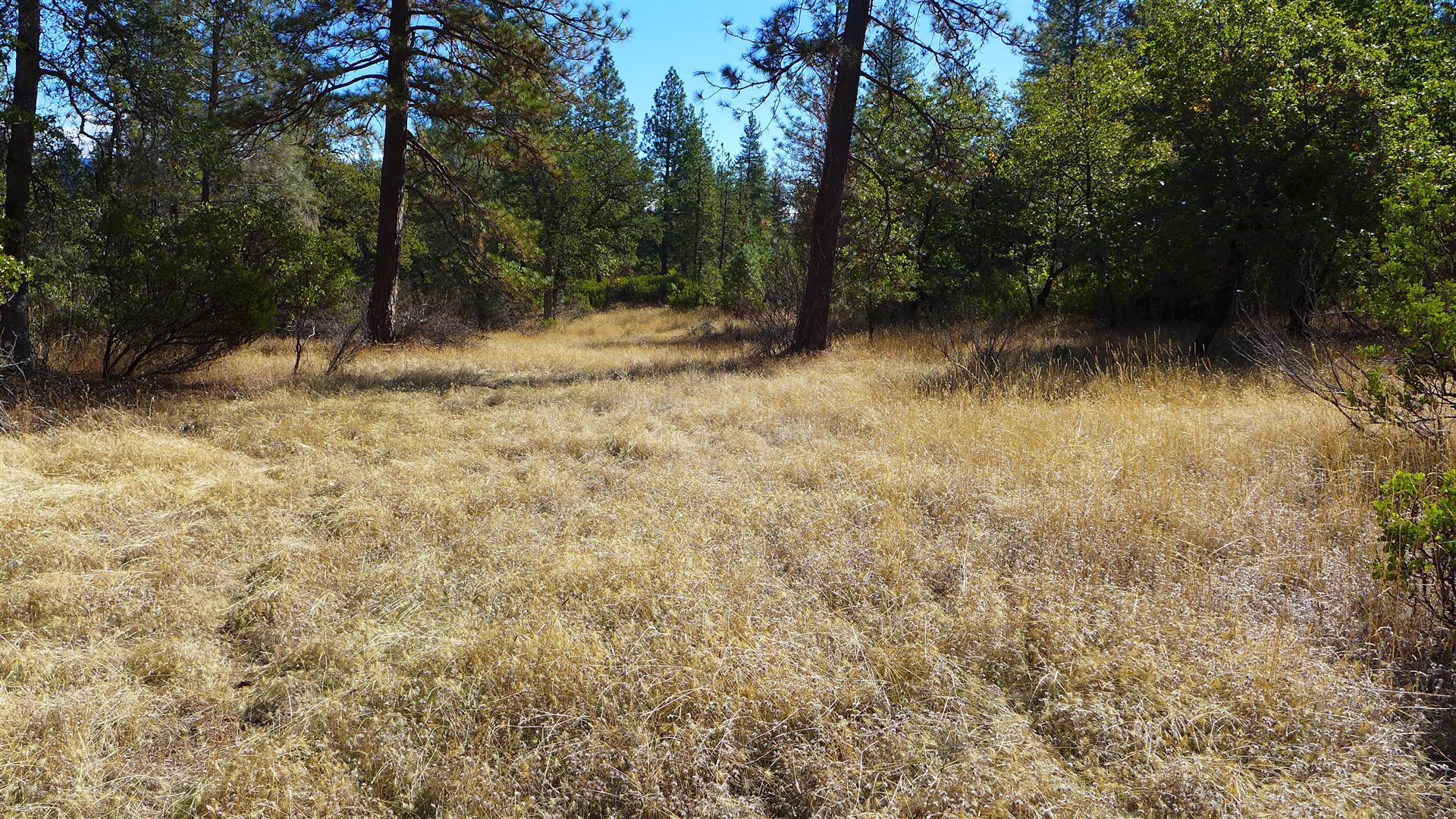 59-acres Donkey Mine Road Oak Run, CA 96069 - Photo 45 of 46 P1080176