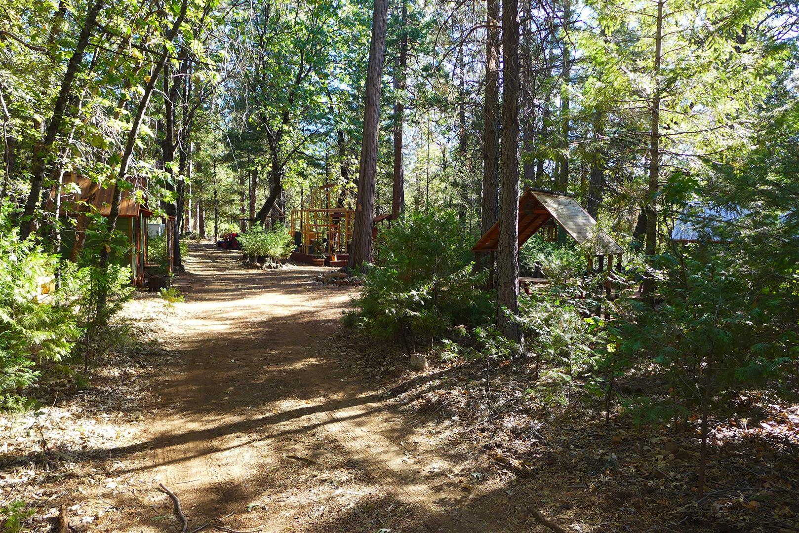 59-acres Donkey Mine Road Oak Run, CA 96069 - Photo 7 of 46 5