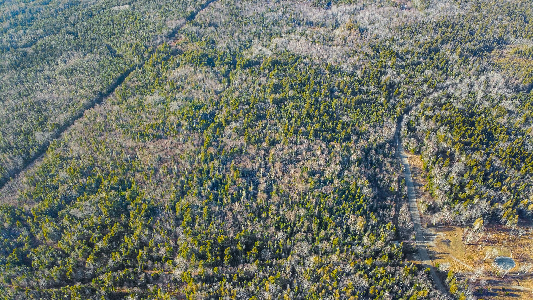 0 Duck Cove Road Roque Bluffs, ME 04654 - Photo 11 of 13 ROQUEBLUFFS-7