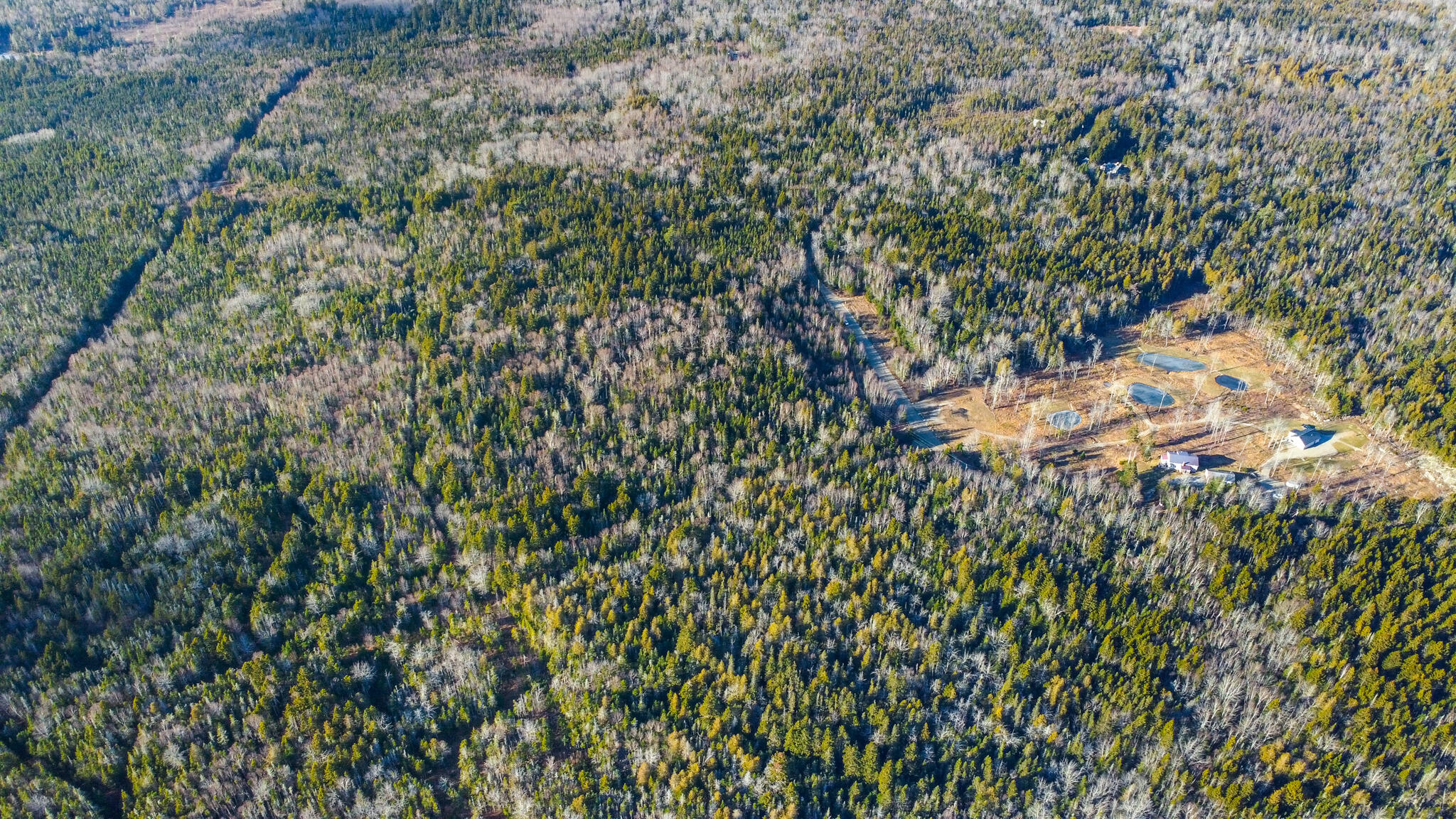 0 Duck Cove Road Roque Bluffs, ME 04654 - Photo 12 of 13 ROQUEBLUFFS-8