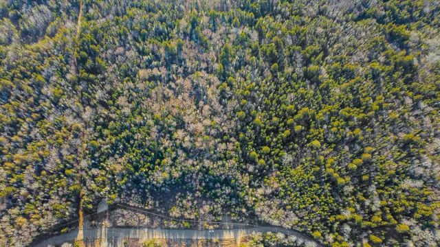 $68,250 | 0 Duck Cove Road, Roque Bluffs, ME 04654