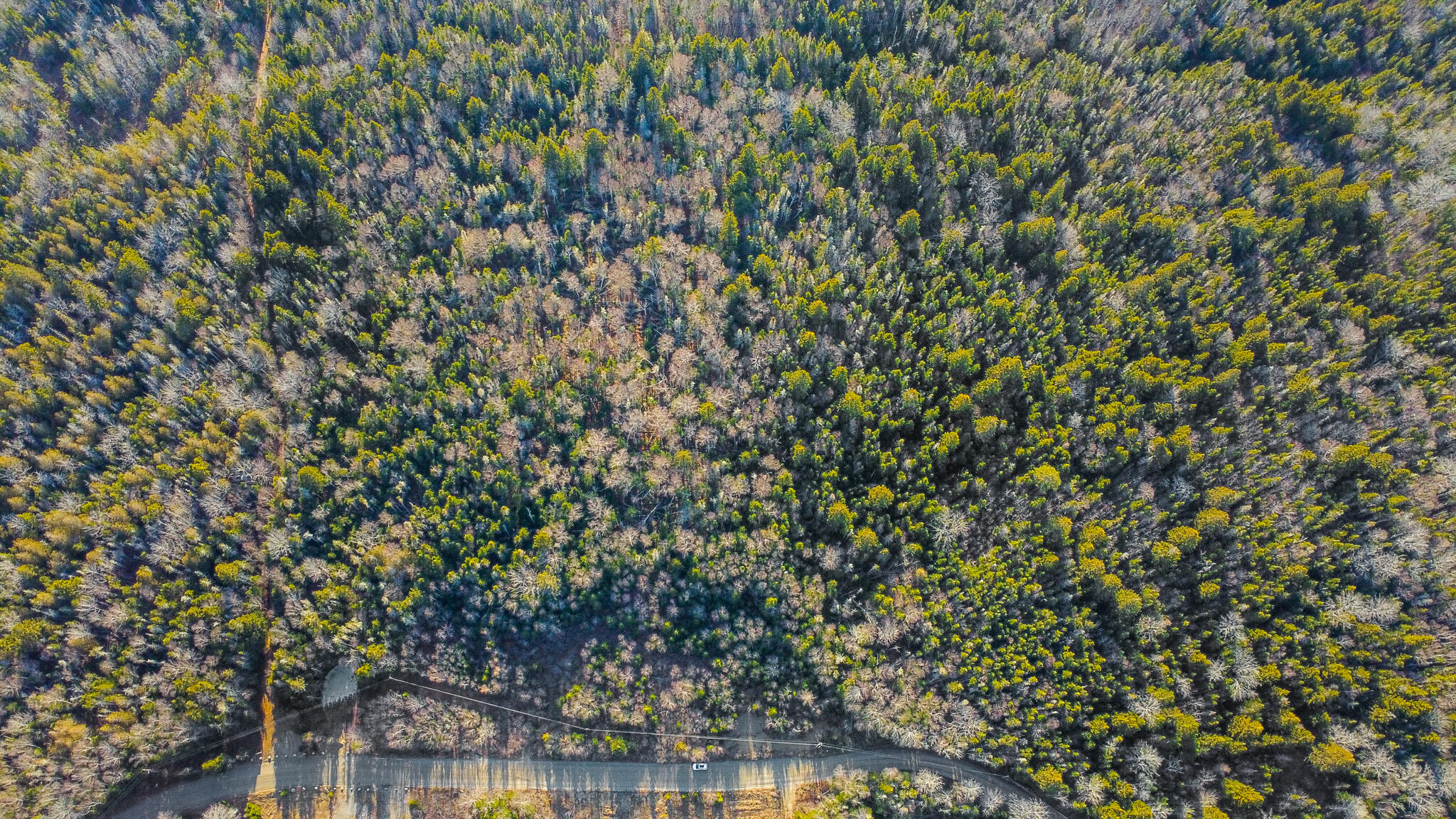 0 Duck Cove Road Roque Bluffs, ME 04654 - Photo 10 of 13 ROQUEBLUFFS-6