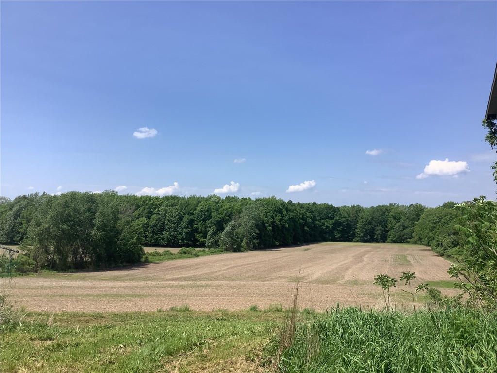 14797 East County House Road Albion, NY 14411 - Photo 11 of 15