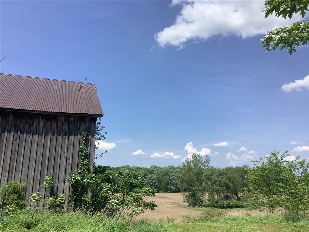 14797 East County House Road Albion, NY 14411 - Photo 12 of 15