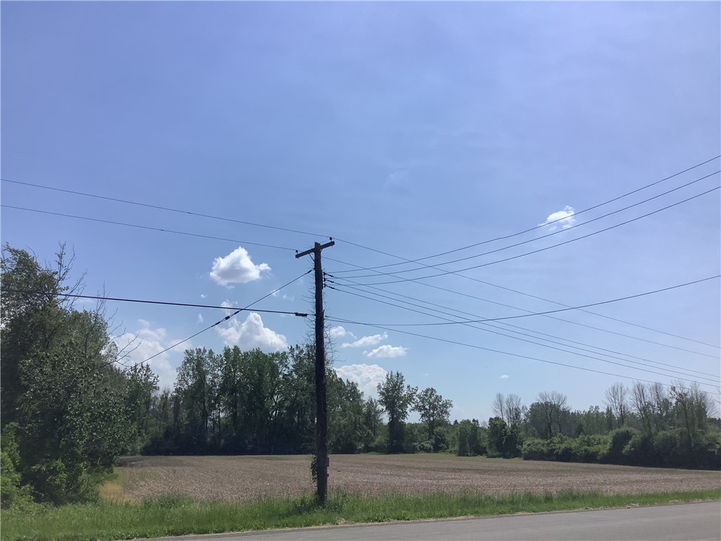 14797 East County House Road Albion, NY 14411 - Photo 13 of 15 Land Across the Road