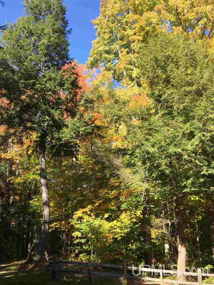 N6991 Olson Road Shingleton, MI 49884 - Photo 30 of 36