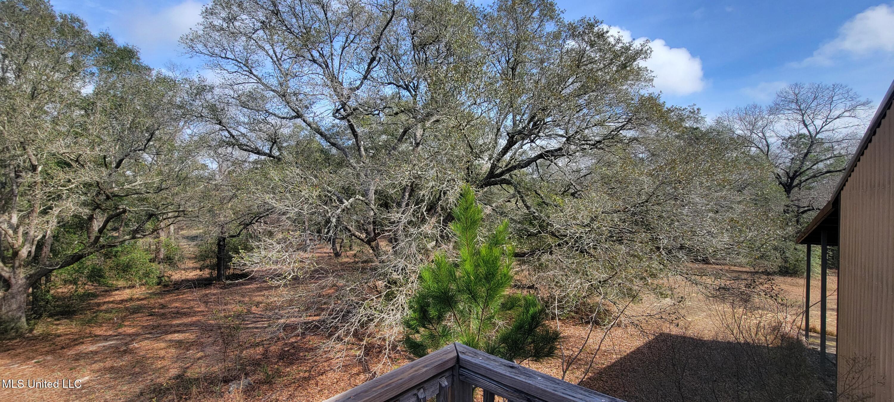 12174 Vidalia Road Pass Christian, MS 39571 - Photo 21 of 37 20250211_110201