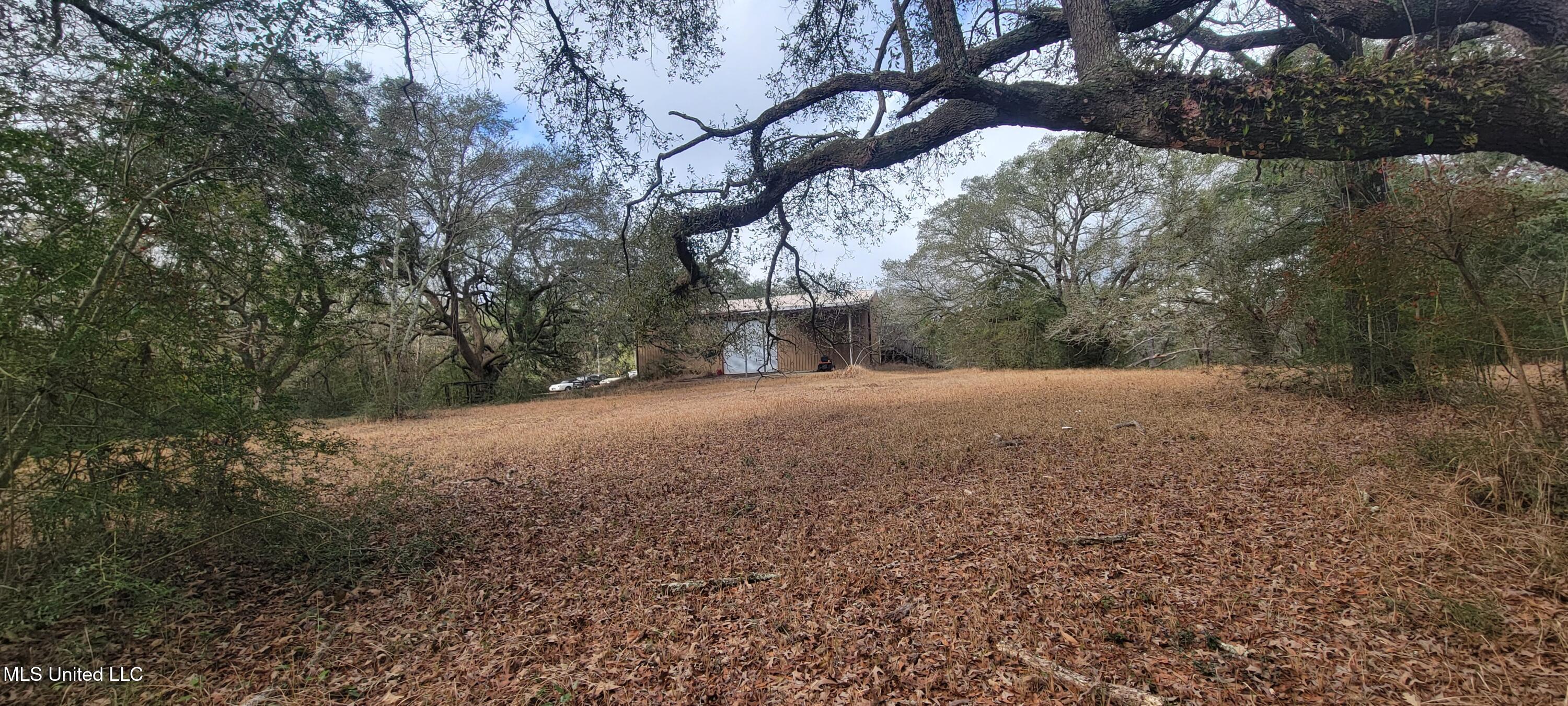 12174 Vidalia Road Pass Christian, MS 39571 - Photo 33 of 37 20250207_093951