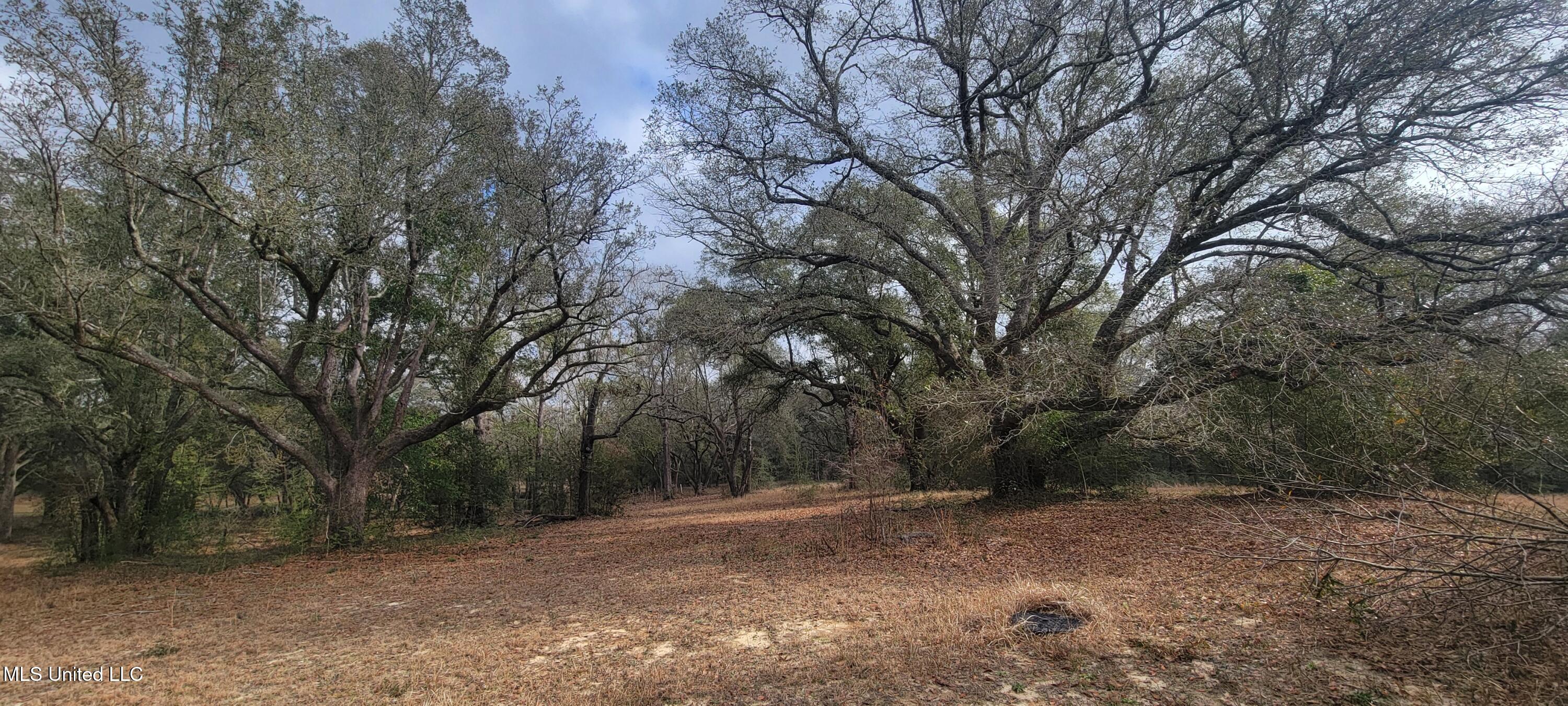 12174 Vidalia Road Pass Christian, MS 39571 - Photo 35 of 37 20250207_093804