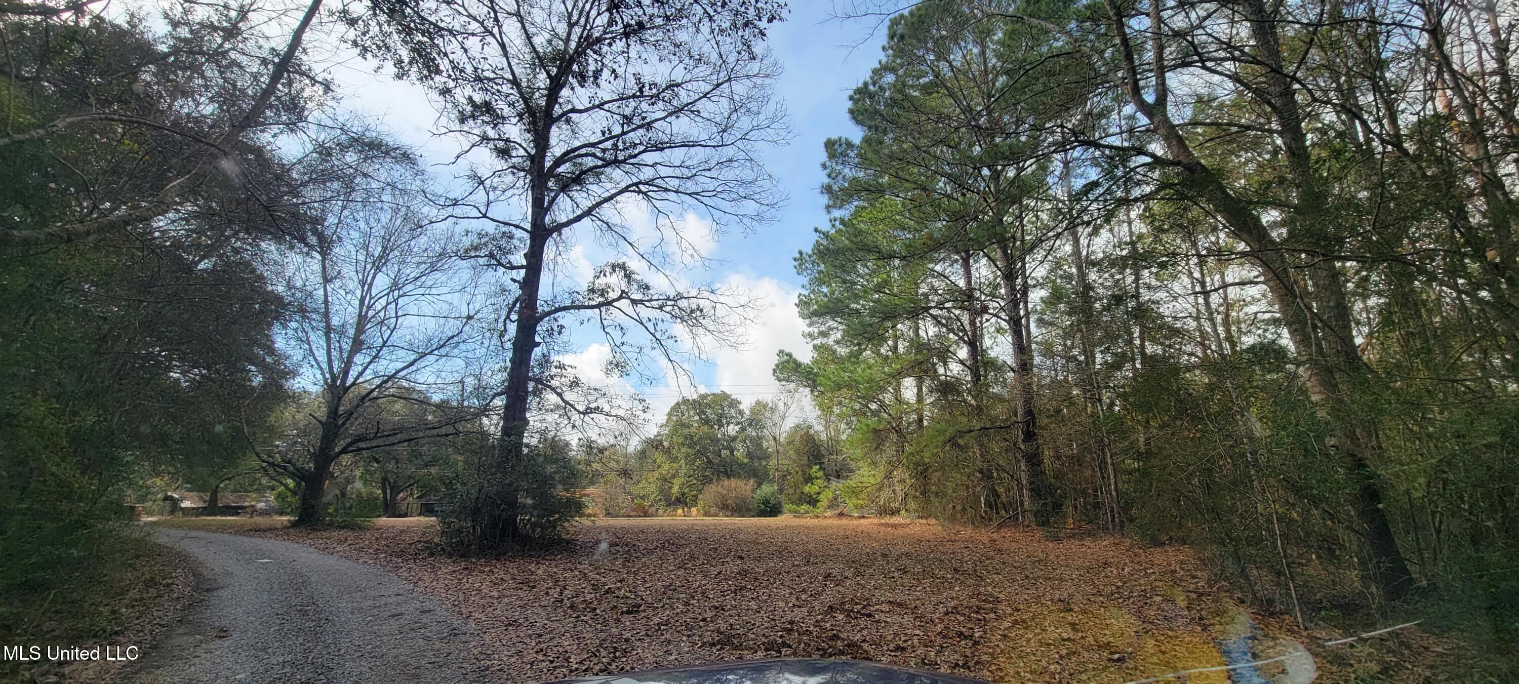 12174 Vidalia Road Pass Christian, MS 39571 - Photo 36 of 37 20250211_111858