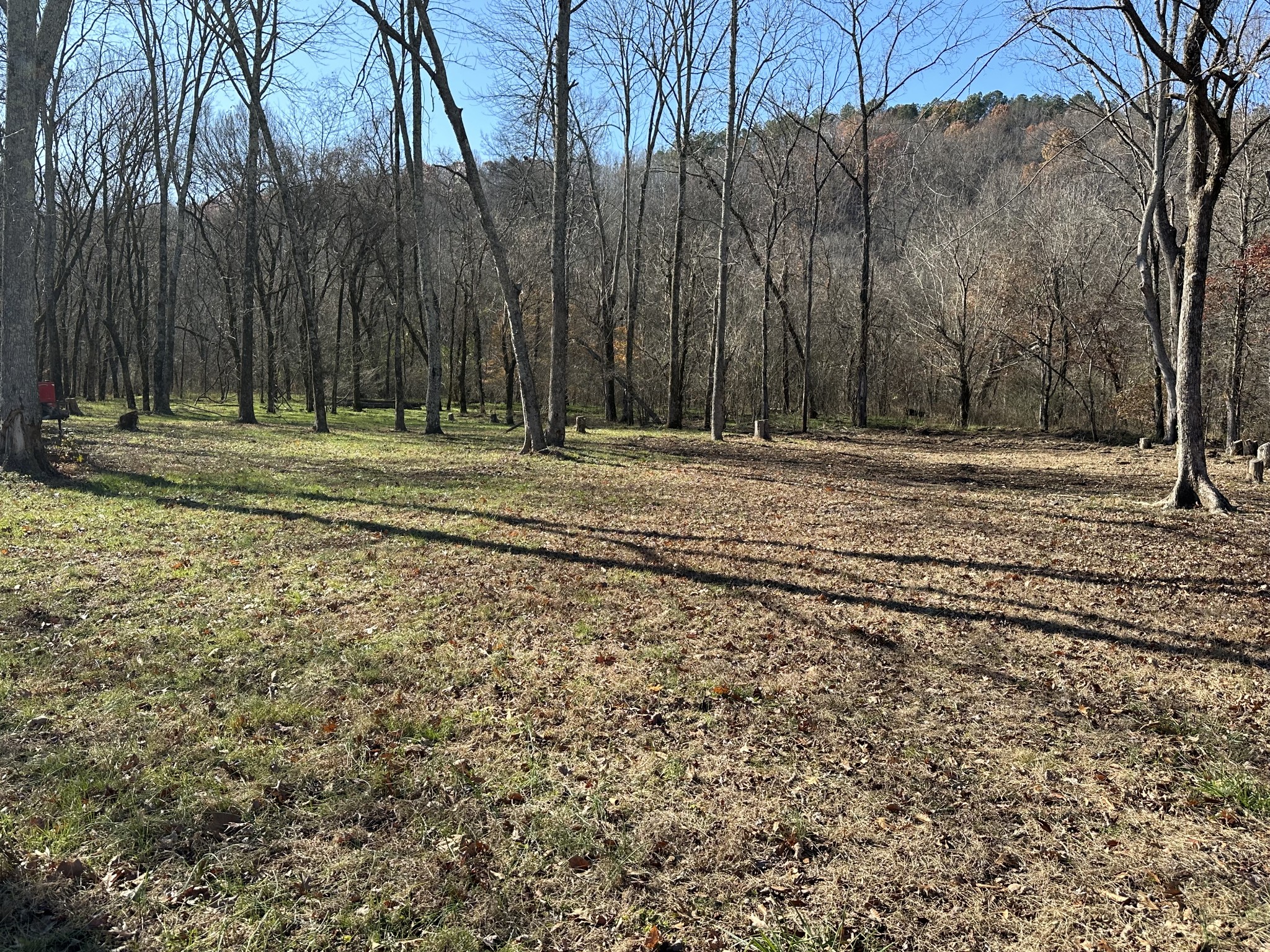 17 Wisdom Road Westpoint, TN 38486 - Photo 23 of 41 a view of a field with trees in the background