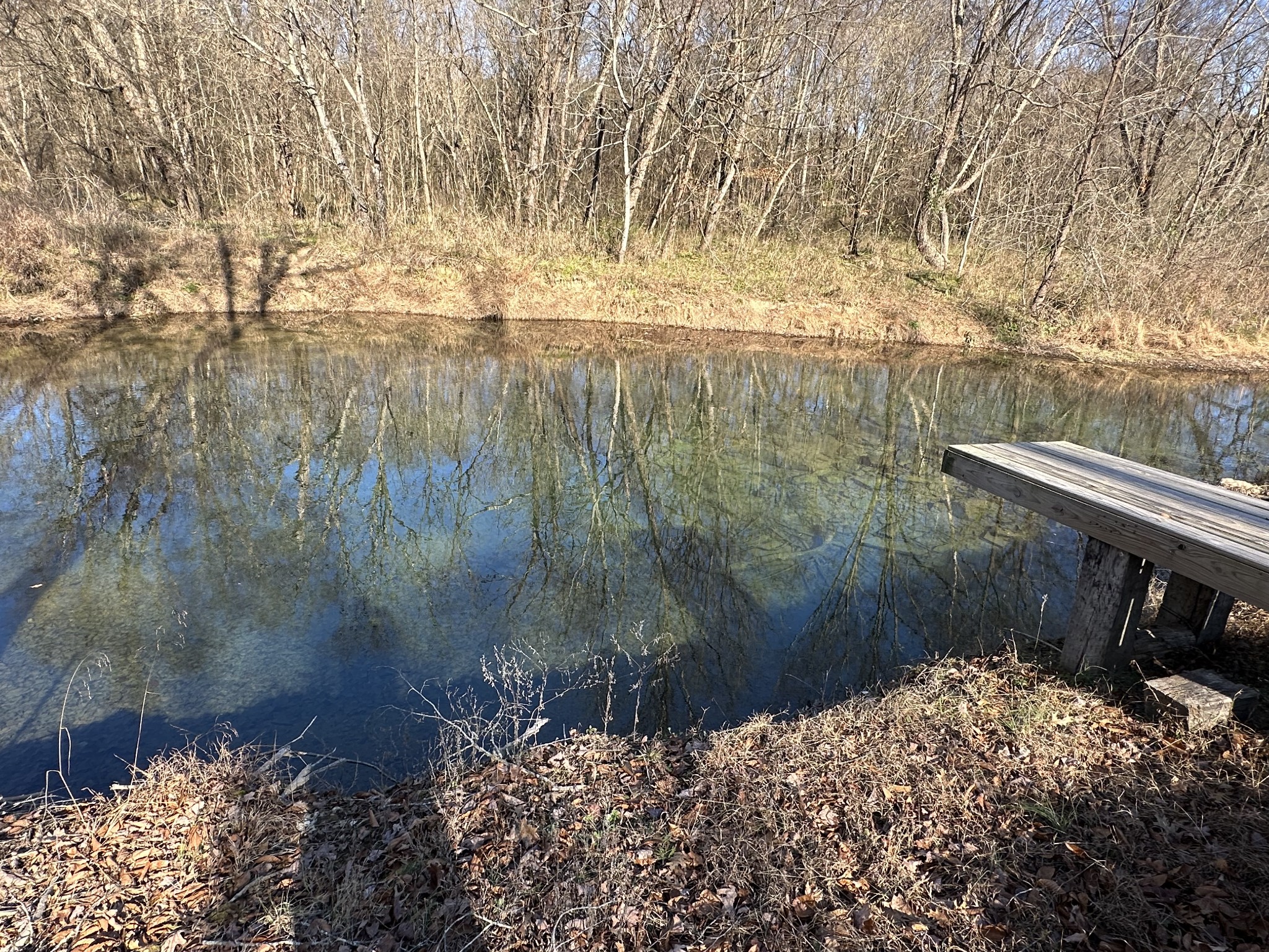 17 Wisdom Road Westpoint, TN 38486 - Photo 3 of 41 a view of a lake with a yard