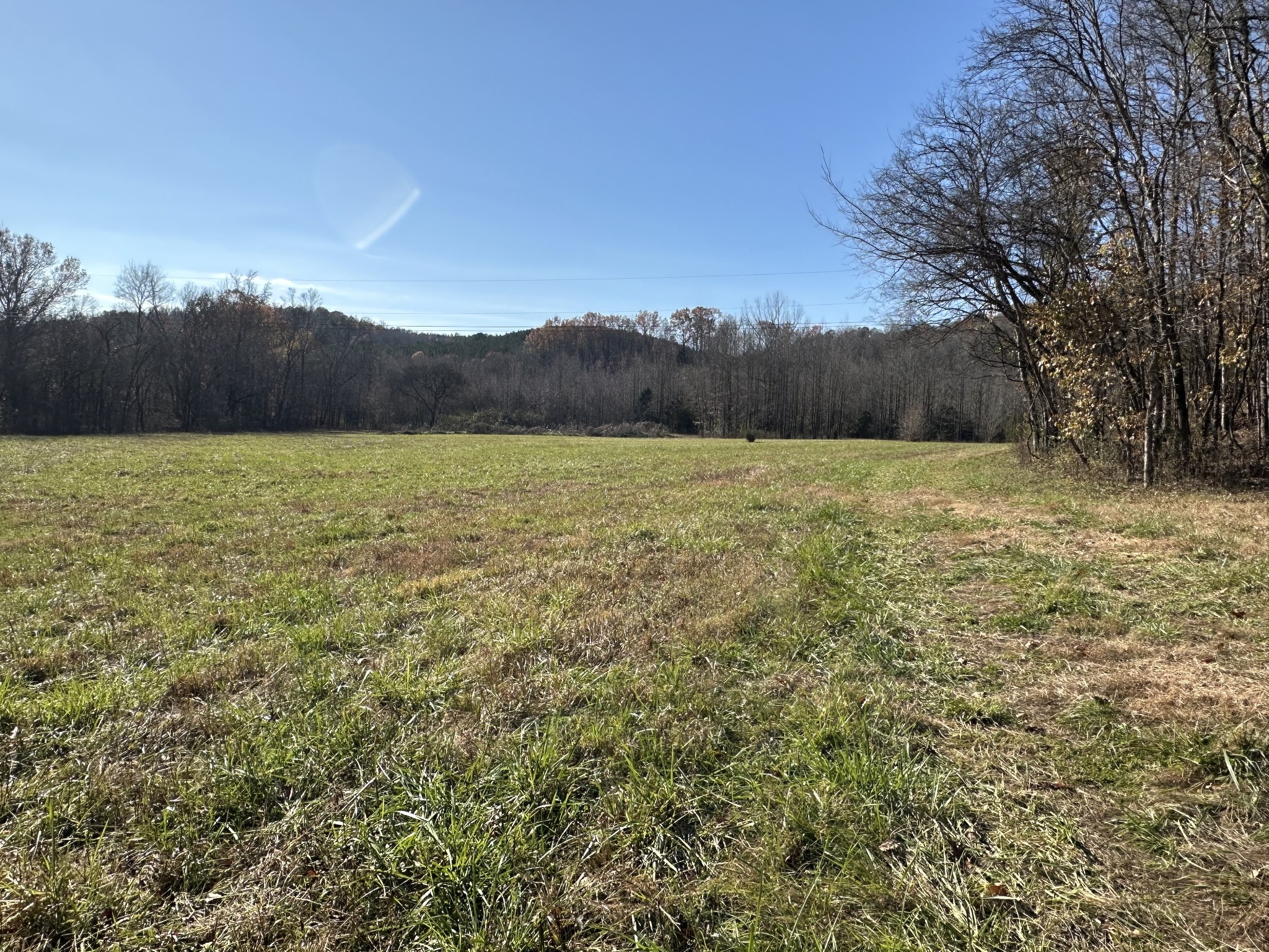 17 Wisdom Road Westpoint, TN 38486 - Photo 8 of 41 a view of an outdoor space and a yard