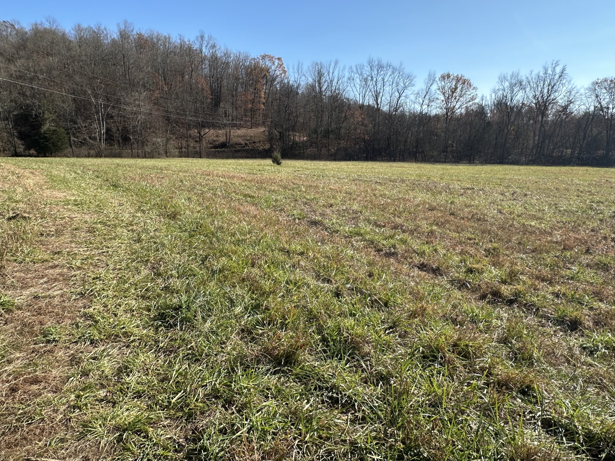 17 Wisdom Road Westpoint, TN 38486 - Photo 10 of 41 a view of an outdoor space and a yard