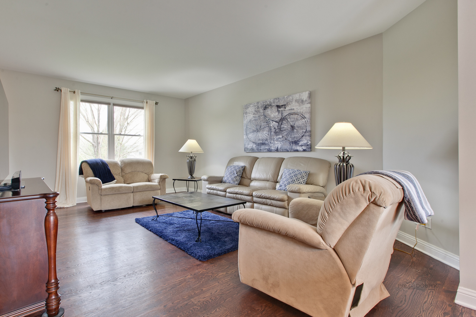 15955 West Anna Road Wadsworth, IL 60083 - Photo 8 of 26 Gallery Image 8