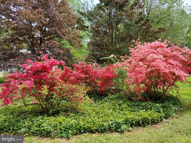 $839,500 | 3160 Sandy Hook Road, Street, MD 21154