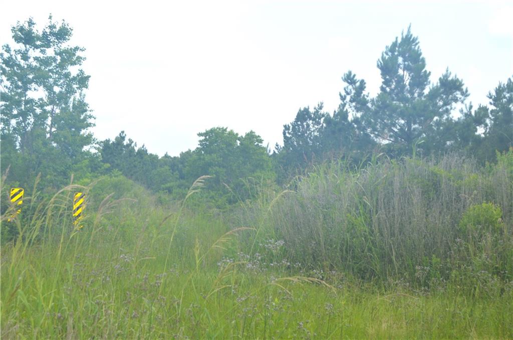 0 Crossover Road Pineville, LA 71360 - Photo 2 of 5