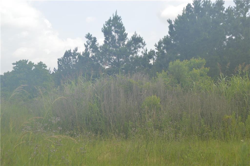 0 Crossover Road Pineville, LA 71360 - Photo 4 of 5