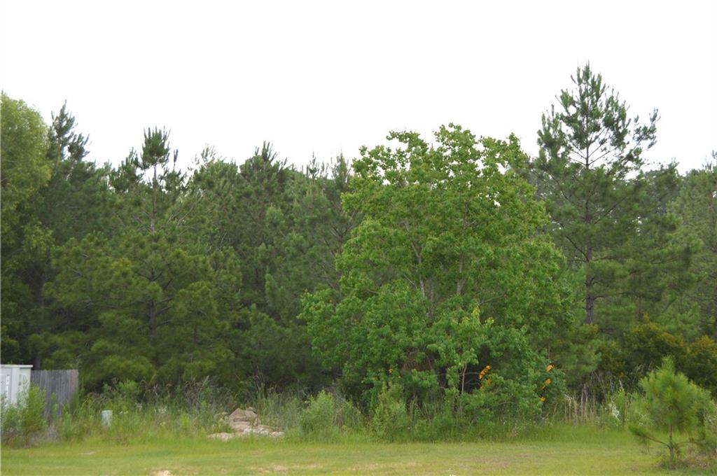 0 Crossover Road Pineville, LA 71360 - Photo 5 of 5