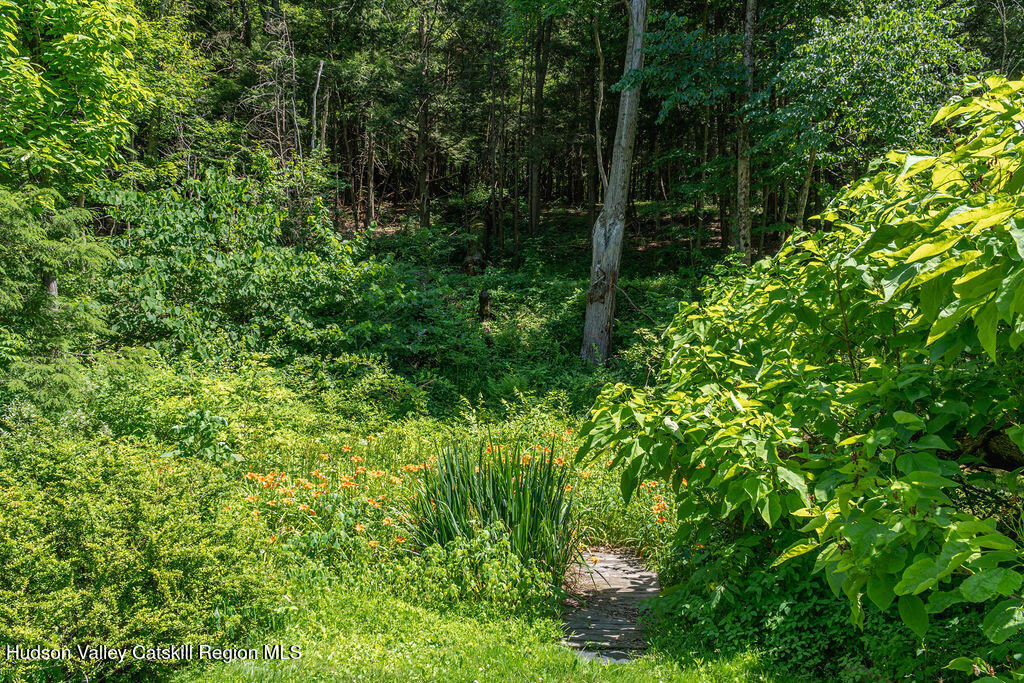 347 Hickory Bush Road Kingston, NY 12401 - Photo 41 of 44 a view of a lush green forest