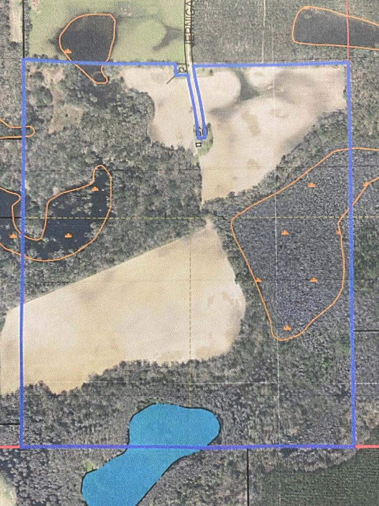 210-ac Jernigan Road Gordon, AL 36343 - Photo 35 of 36