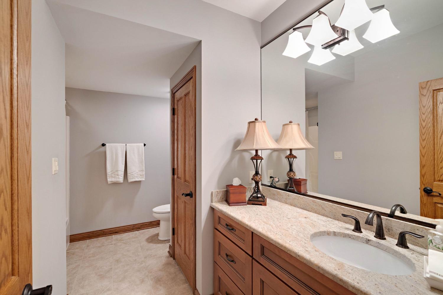 770 Quinlan Court Crown Point, IN 46307 - Photo 46 of 53 a bathroom with a sink and a mirror