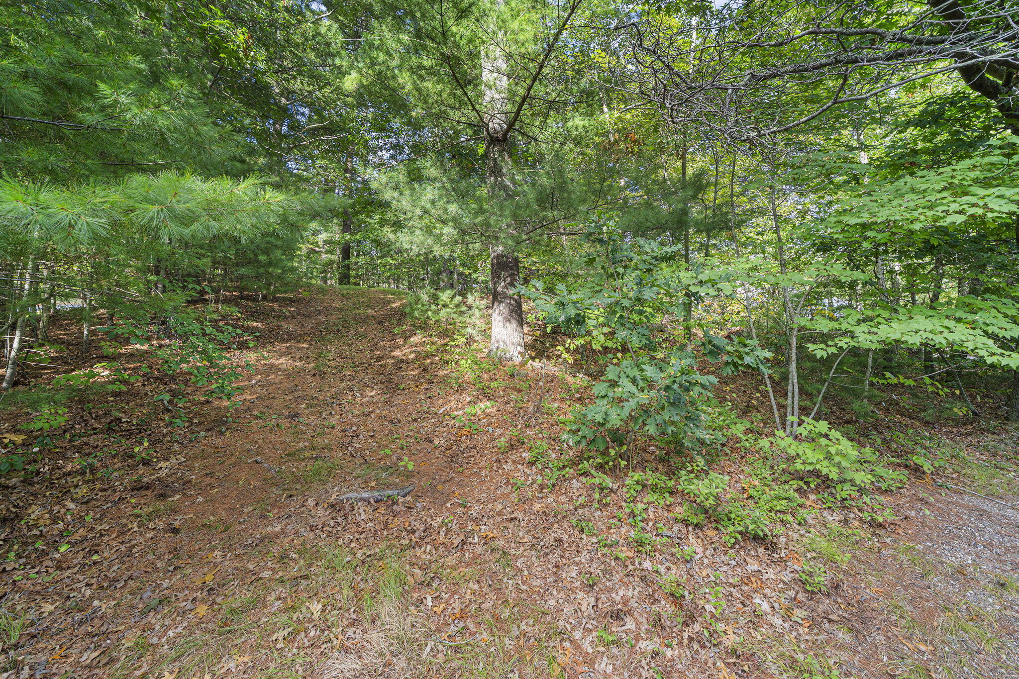 606 County Road Pocasset, MA 02559 - Photo 33 of 36 a view of a yard with a tree