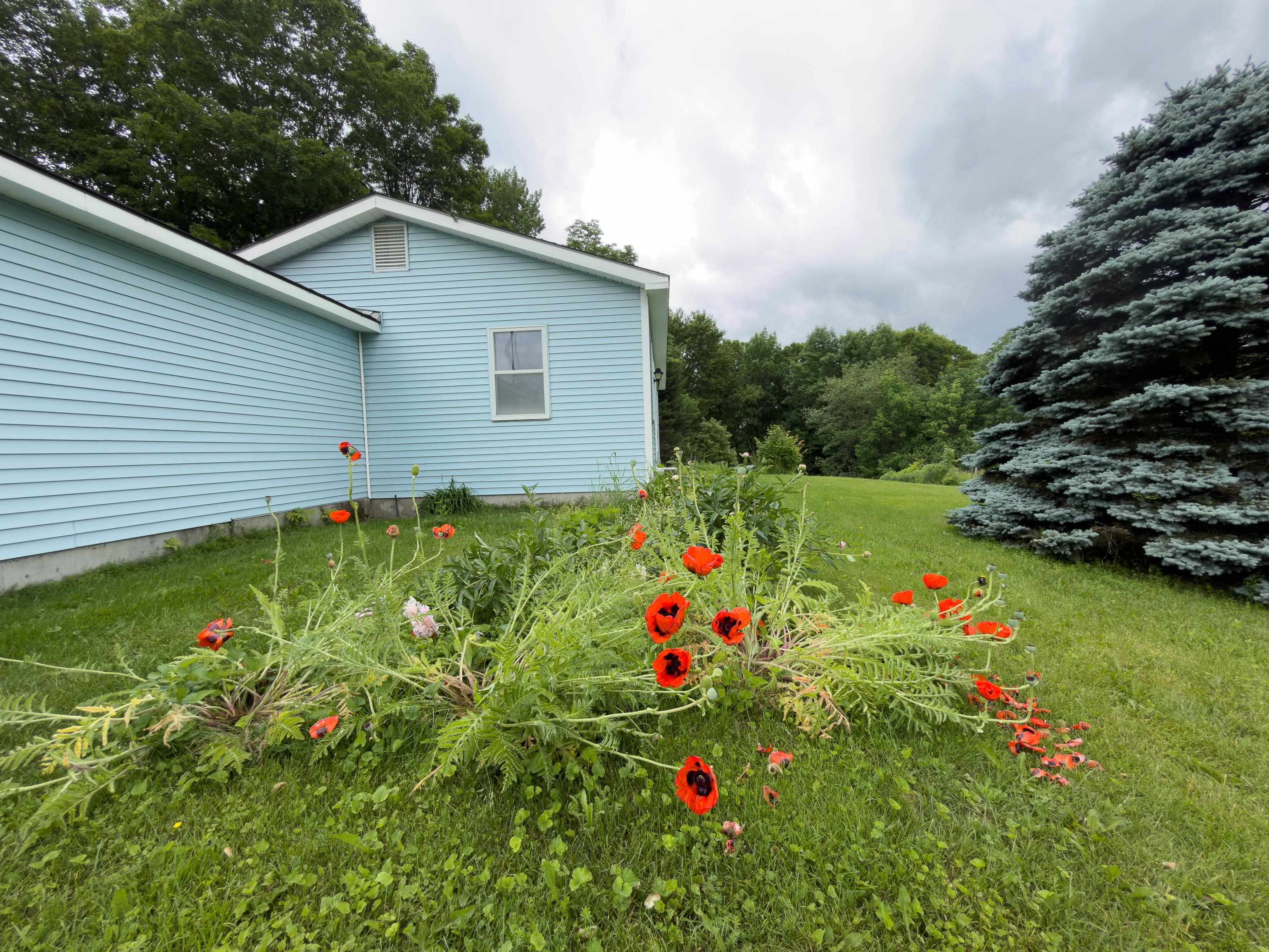 4194 Rt 18 Waterford, VT 05819 - Photo 40 of 60