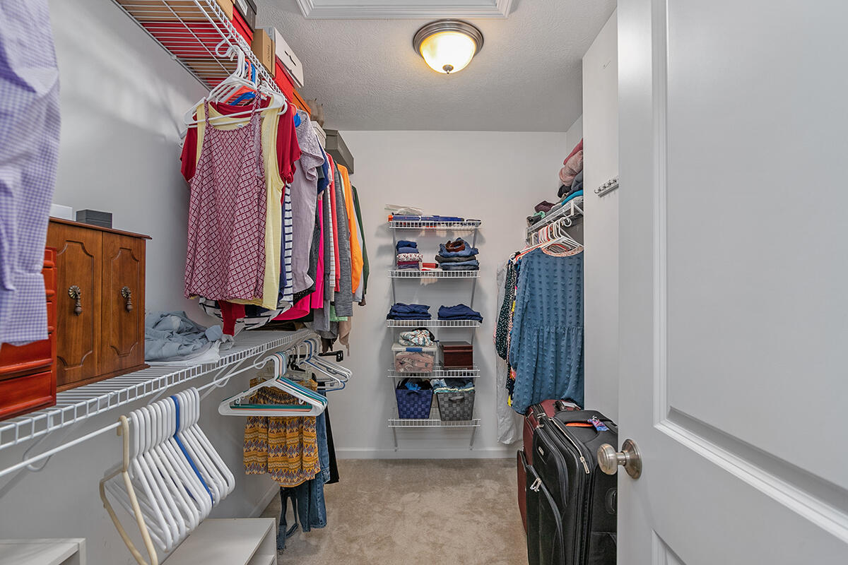 117 Rindle Bluff Portland, MI 48875 - Photo 16 of 35 Walk in closet