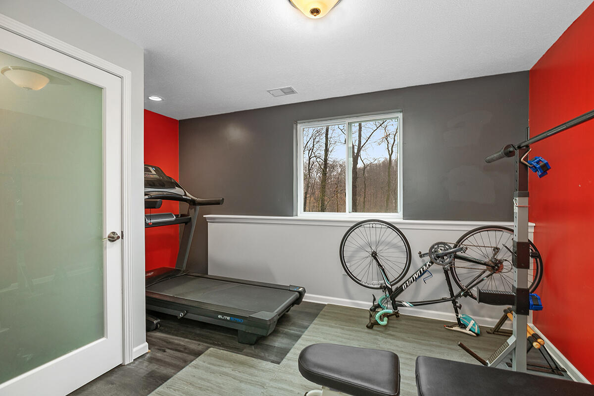 117 Rindle Bluff Portland, MI 48875 - Photo 27 of 35 Lower Bedroom