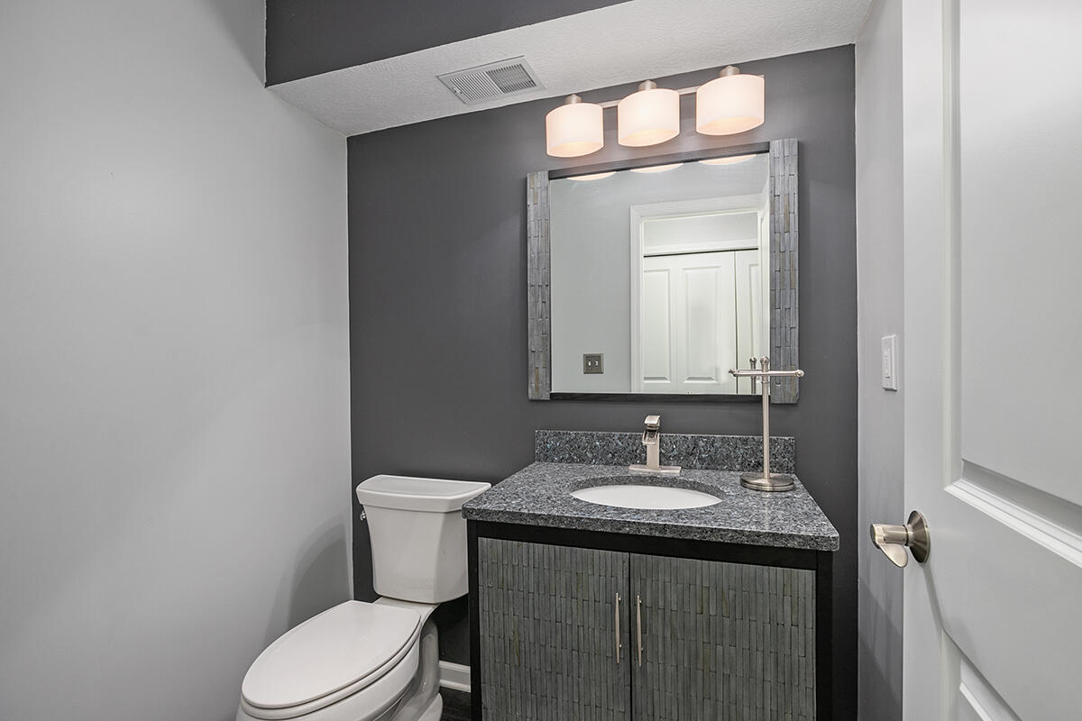 117 Rindle Bluff Portland, MI 48875 - Photo 28 of 35 Lower Level Half Bath