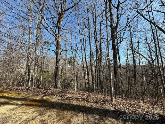 $165,000 | 217 Chatsworth Court, Flat Rock, NC 28731