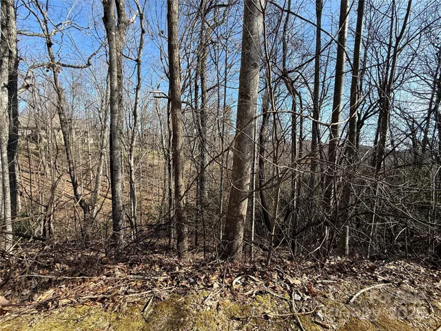 $165,000 | 217 Chatsworth Court, Flat Rock, NC 28731