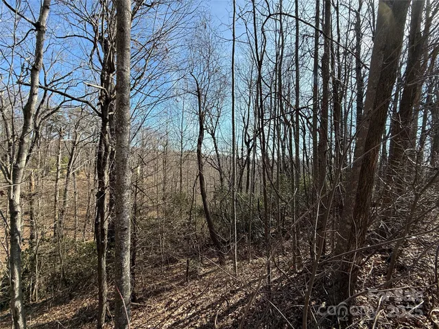 $165,000 | 217 Chatsworth Court, Flat Rock, NC 28731