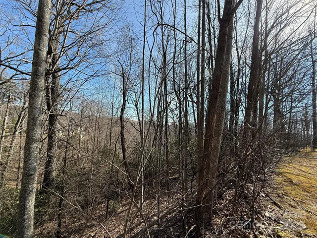 $165,000 | 217 Chatsworth Court, Flat Rock, NC 28731