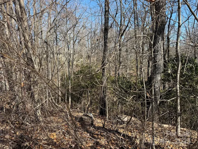 $165,000 | 217 Chatsworth Court, Flat Rock, NC 28731