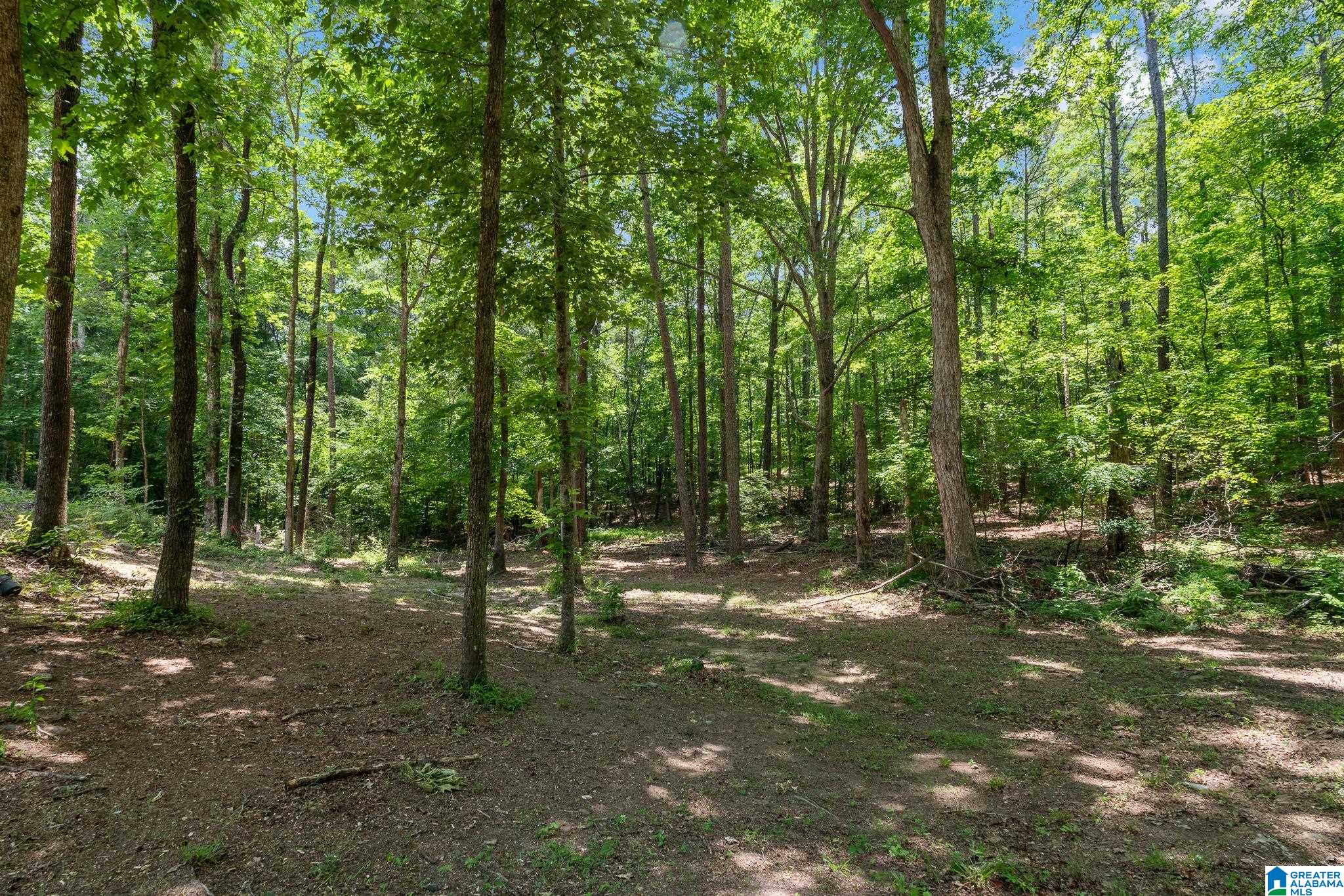 65 Ridgecrest Lane Trussville, AL 35173 - Photo 54 of 84