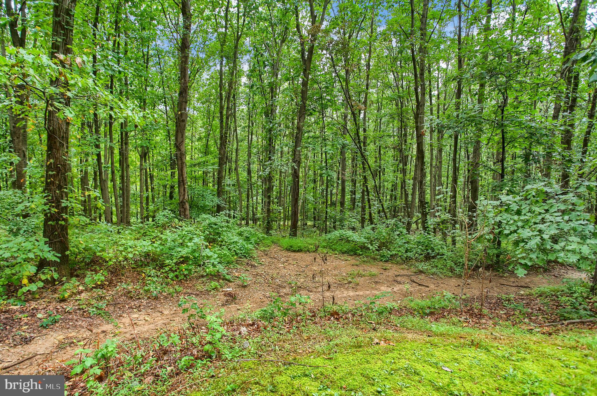 2008 Ridge Road Glenville, PA 17329 - Photo 43 of 49