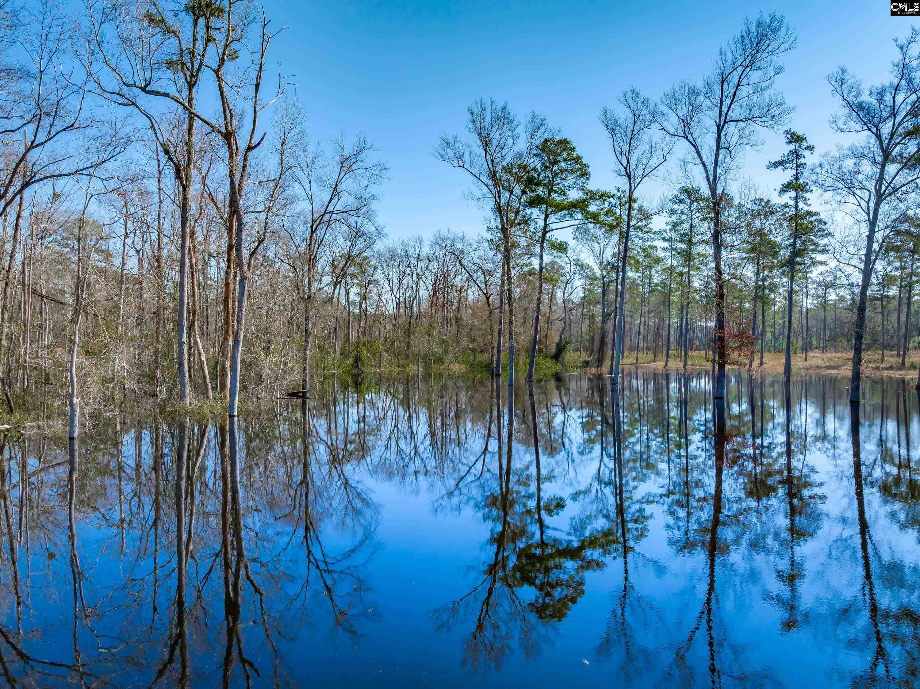 1626-01 Sumter Highway Rembert, SC 29128 - Photo 7 of 16