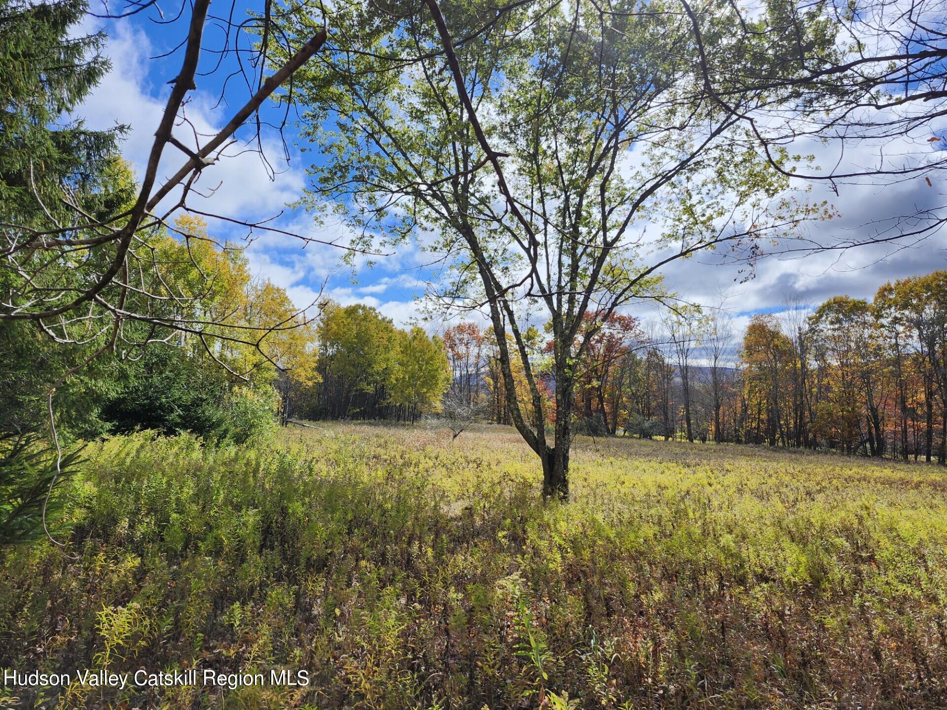 Tbd Dimmick Mountain Road Denver, NY 12421 - Photo 11 of 11 a view of a yard with large trees