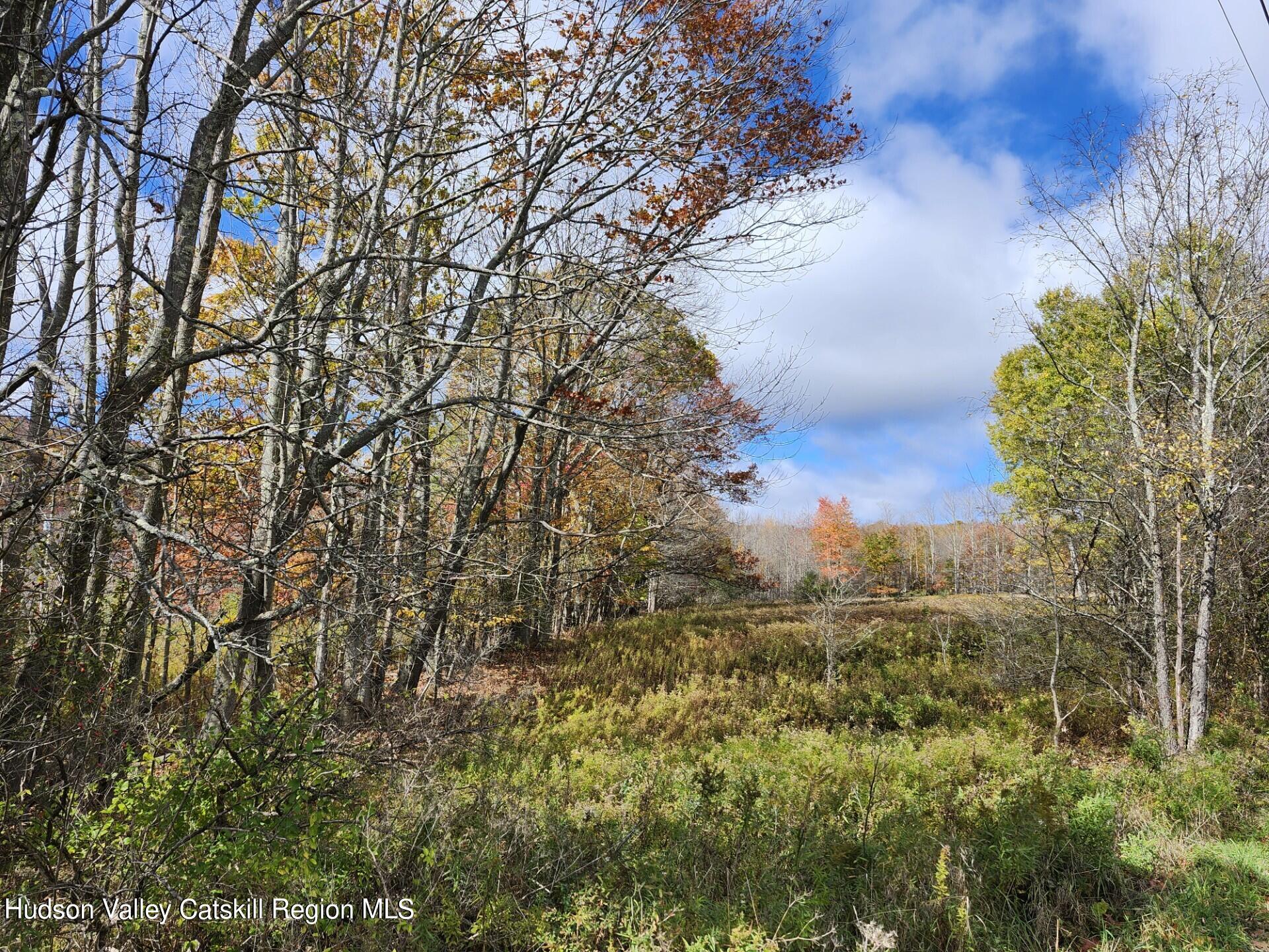 Tbd Dimmick Mountain Road Denver, NY 12421 - Photo 2 of 11 a view of a field with large trees