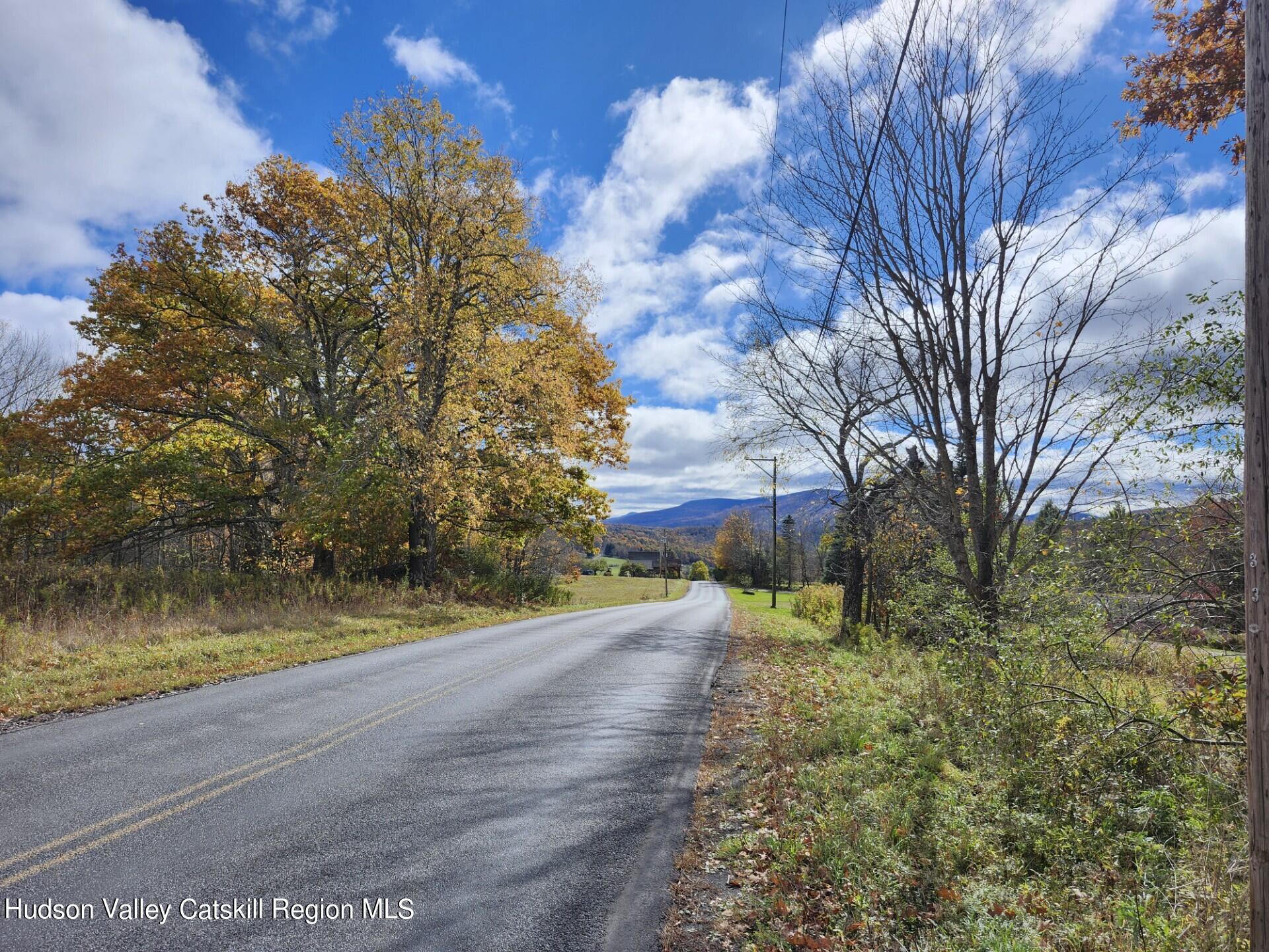 Tbd Dimmick Mountain Road Denver, NY 12421 - Photo 4 of 11