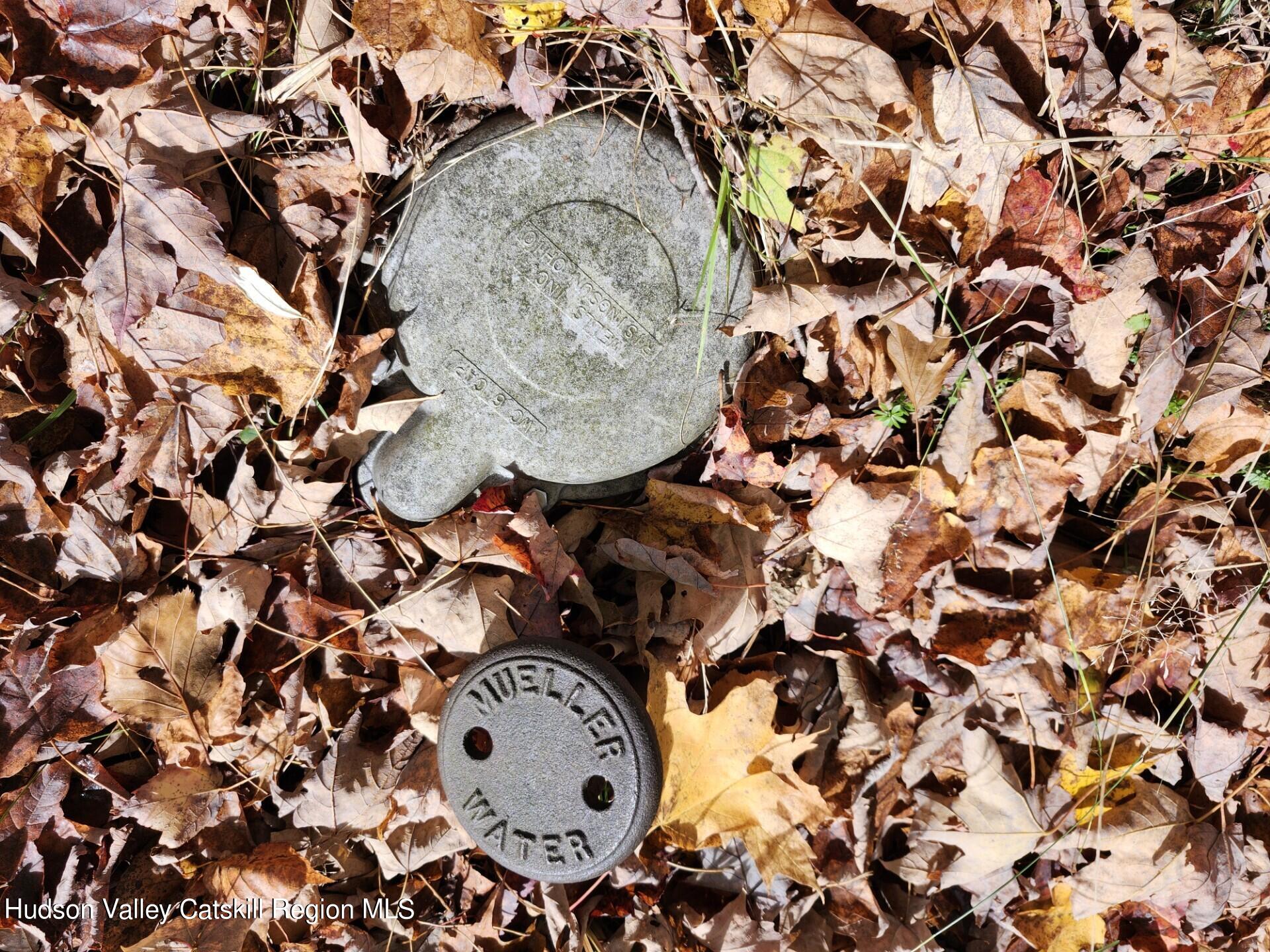 Tbd Dimmick Mountain Road Denver, NY 12421 - Photo 6 of 11