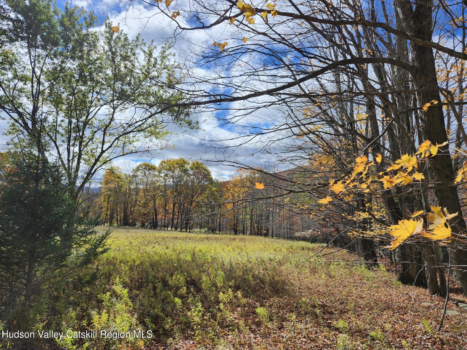 Tbd Dimmick Mountain Road Denver, NY 12421 - Photo 8 of 11 a view of a yard with a tree