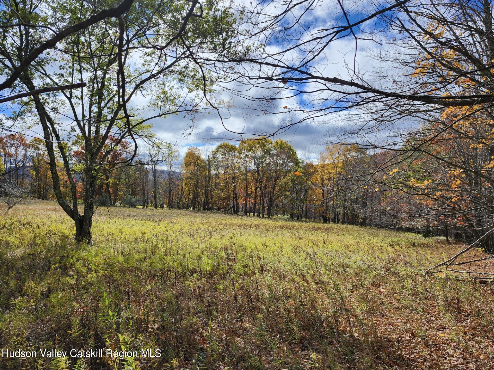 Tbd Dimmick Mountain Road Denver, NY 12421 - Photo 9 of 11 a yard with a trees