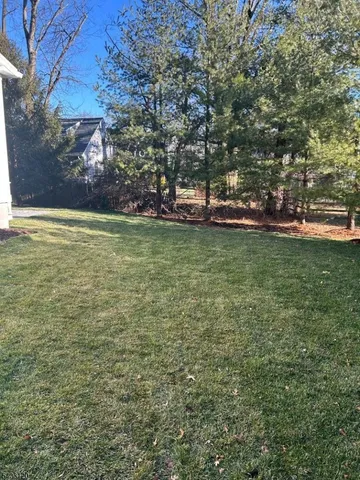 a view of a yard with a fountain