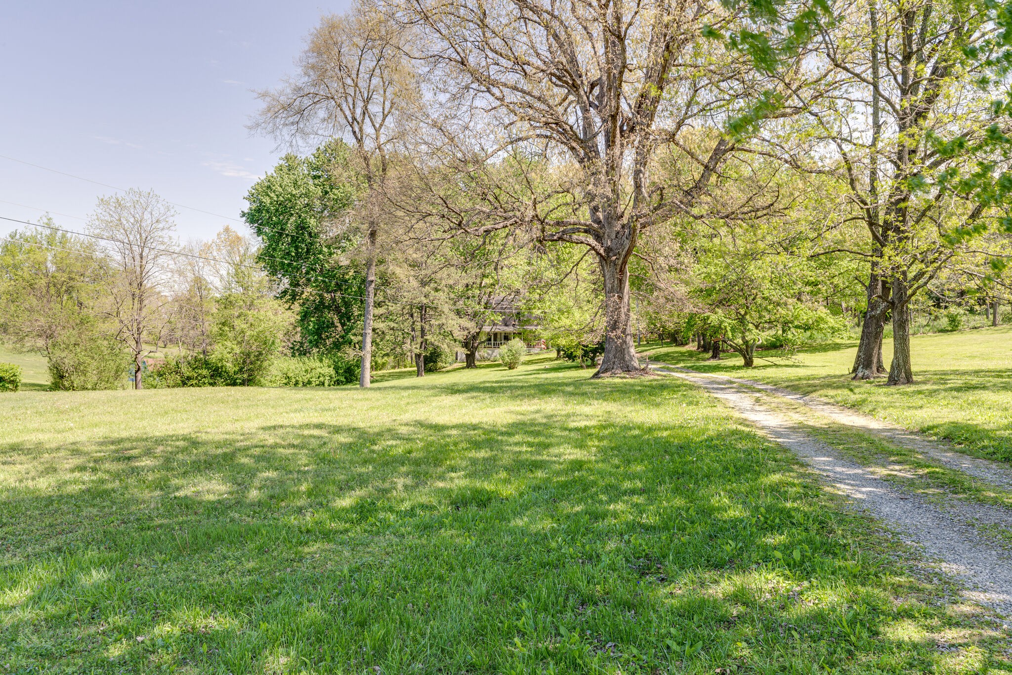 2729 Gideon Road Greenbrier, TN 37073 - Photo 30 of 30 a view of yard with trees