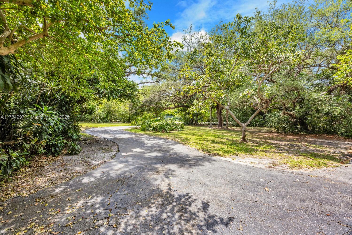 4151 Douglas Road Miami, FL 33133 - Photo 15 of 24 a view of yard with large trees
