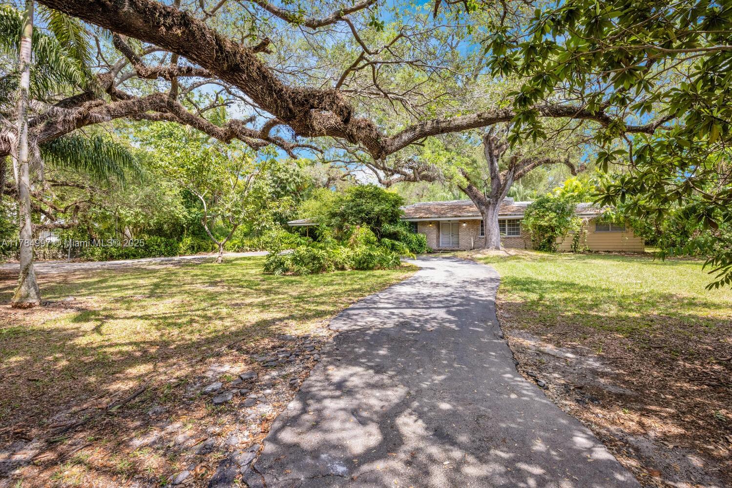 4151 Douglas Road Miami, FL 33133 - Photo 6 of 24 a view of a yard with plants and large trees