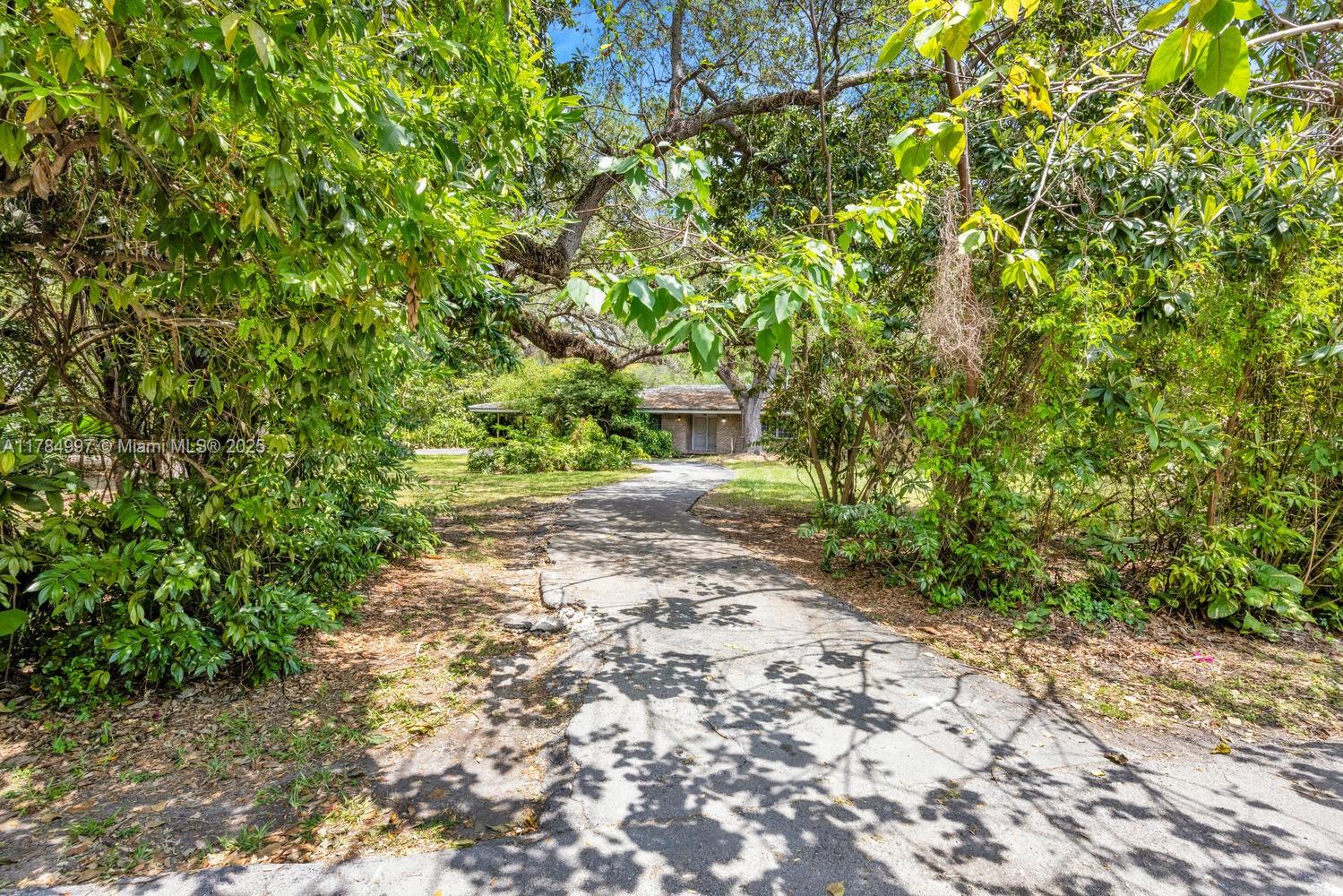 4151 Douglas Road Miami, FL 33133 - Photo 8 of 24 a pathway of a yard